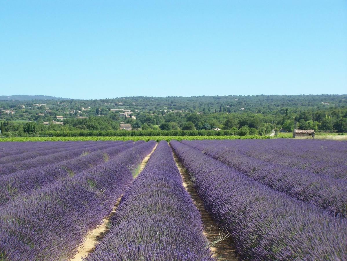 Le Verger Gordes Eksteriør billede